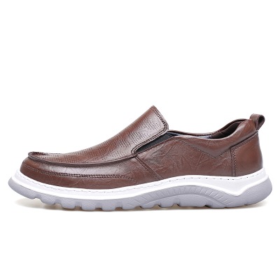 C53169 brown